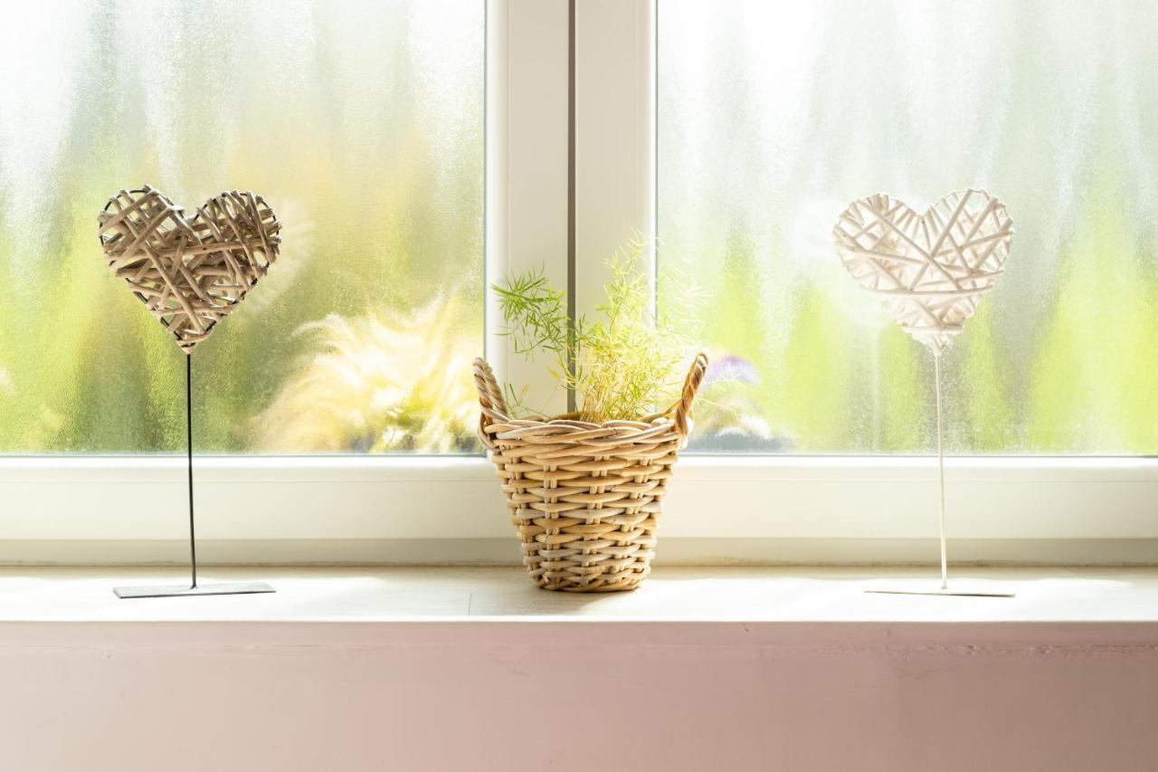 Studio Bienvenue Du Cote De Chez Nous Avec Jardin Privatif Wignehies Exterior photo